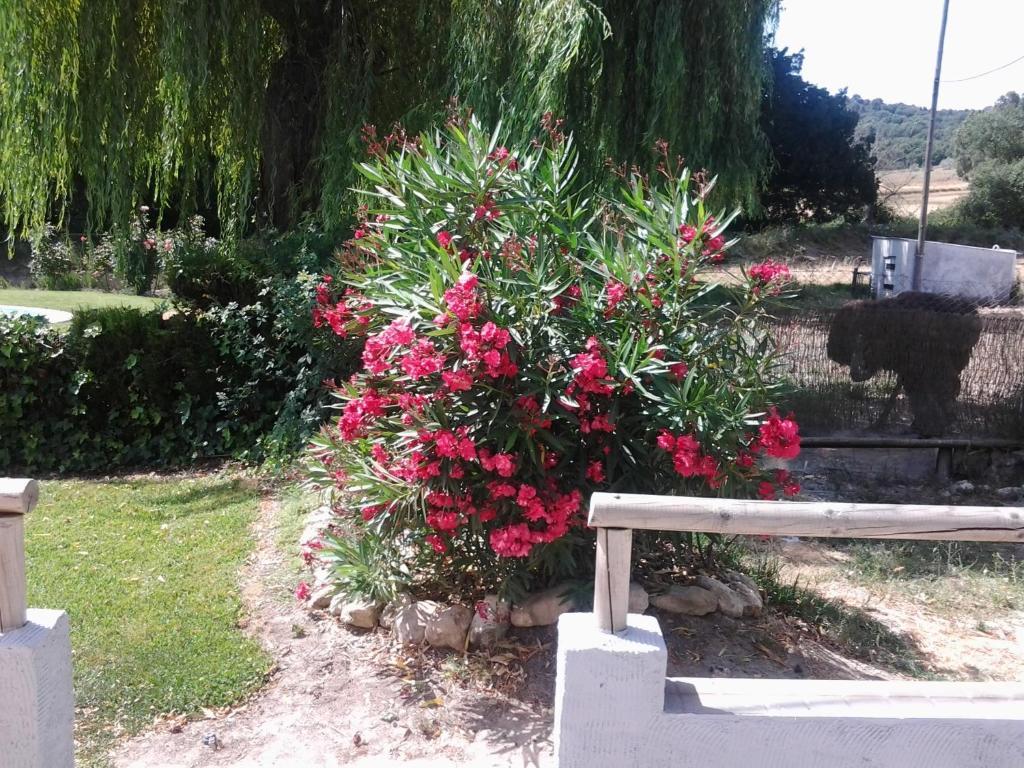 Rural Venta La Vega Hotel